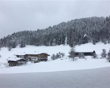 Eine verschneite Landschaft mit Häusern und schneebedeckten Bäumen. Der Himmel ist grau und bewölkt.