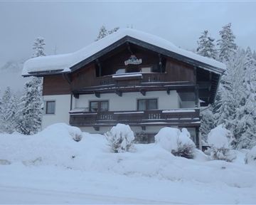 A cozy house in the snow, surrounded by wintry trees. The entire area is decorated with a snow-covered landscape.