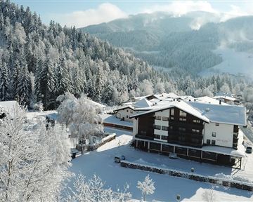 Eine verschneite Landschaft mit einem komfortablen Berghaus und schneebedeckten Bäumen. Die Atmosphäre ist ruhig und winterlich.