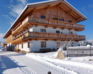 Ein Holzhaus im Schnee mit mehreren Balkonen. Vor dem Haus läuft ein Hund auf dem verschneiten Weg.