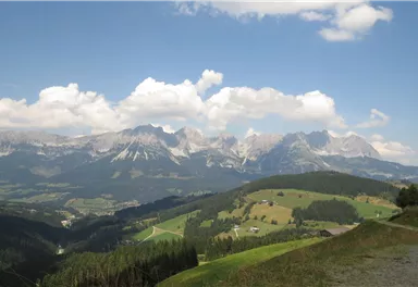 11er Weg_11_BirgitHong_2018.JPG