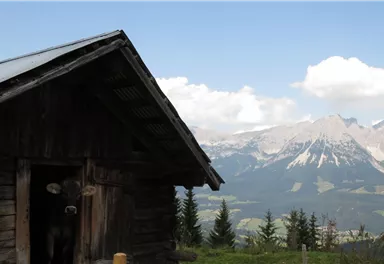 11er Weg_10_BirgitHong_2018.JPG