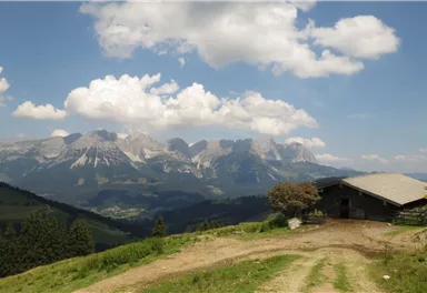 11er Weg_9_BirgitHong_2018.JPG