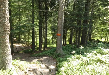 11er Weg_8_BirgitHong_2018.JPG