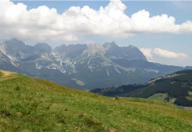 11er Weg_7_BirgitHong_2018.JPG