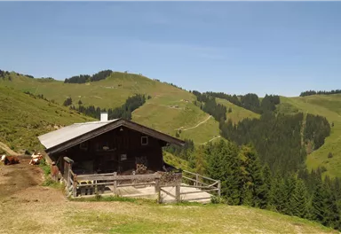 11er Weg_6_BirgitHong_2018.JPG