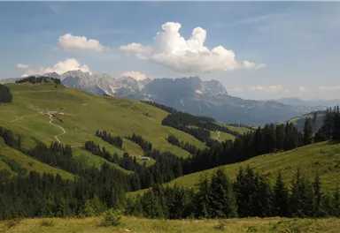 11er Weg_4_BirgitHong_2018.JPG