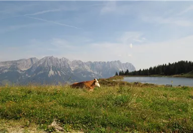 11er Weg_2_BirgitHong_2018.JPG