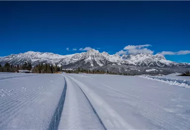 Bichlloipe_Ellmau_Foto Martin Raffeiner (4).jpg