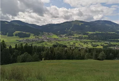 Ellmau_Biedringer Platte-Rundweg_Ausblick_Wilder Kaiser