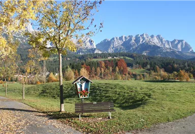 Ellmau_Biedringer Platte Rundweg_Wilder Kaiser