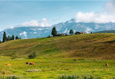 Ellmau_Elferweg_Blinzalm_Wilder Kaiser