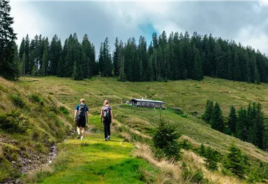 Ellmau_Elferweg_Schwendteralm_Wilder Kaiser