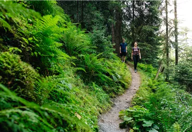 Ellmau_Elferweg_Wilder Kaiser