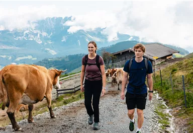 Ellmau_Elferweg_Wilder Kaiser