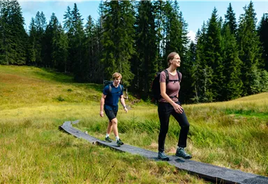 Ellmau_Elferweg_Wilder Kaiser