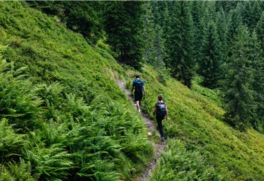 Ellmau_Elferweg_Wilder Kaiser