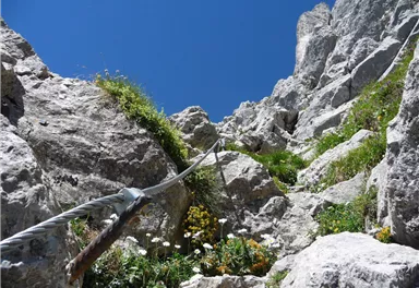 Ellmau_Gamsängersteig_Wilder Kaiser