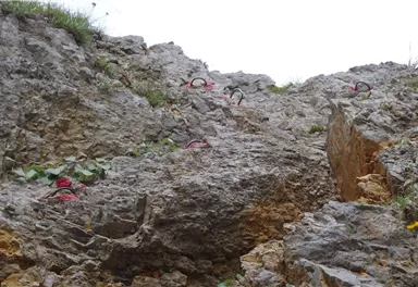 Ellmau_Klammlweg_Wilder Kaiser