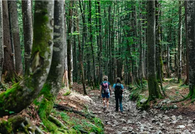 Ellmau_Weg Nr. 825_Wilder Kaiser
