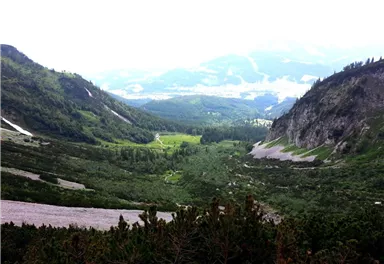 Ellmau_Wilder Kaiser Steig_Blick Richtung Gaudeamushütte_Wilder Kaiser