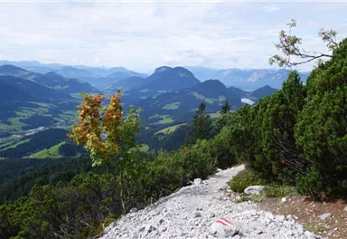 Ellmau_Wilder-Kaiser-Steig_Lenggries_Wilder Kaiser