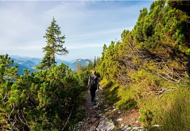 Wilder_Kaiser_wandern_3-Tage_Hüttenwanderung_Sommer2021_ThomasHennerbichler (86)_1920px.jpg