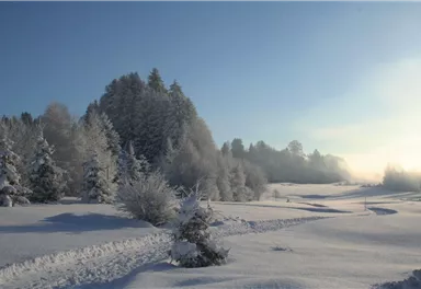Ellmau_Wilder Kaiser Winterrunde_Wilder Kaiser