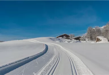 Going_Aschauerloipe_Wilder Kaiser