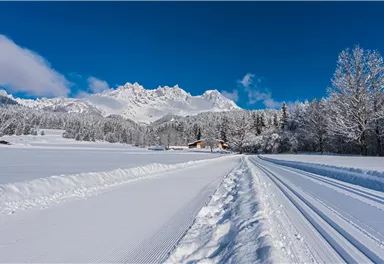 Going_Aschauerloipe_Wilder Kaiser