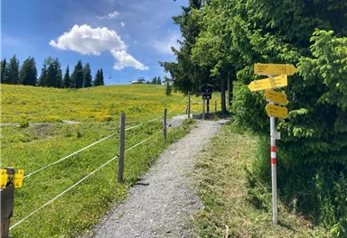 Going_Astberg_Wegweiser_Wilder Kaiser