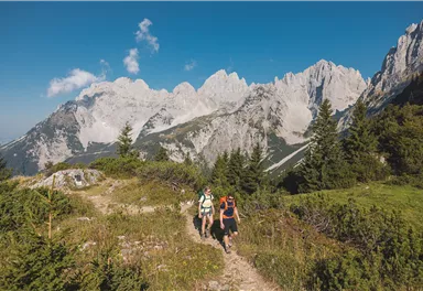 Going_Baumgartenköpfl_Bergsteigergrab_Wilder Kaiser