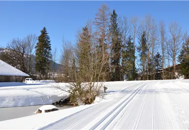 Going_Blattlloipe_Wilder Kaiser