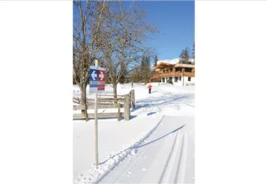 Going_Blattlloipe_Wilder Kaiser