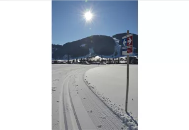 Going_Blattlloipe_Wilder Kaiser