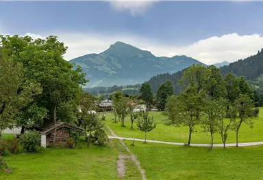 Going_Goinger Dorfrunde_Wilder Kaiser