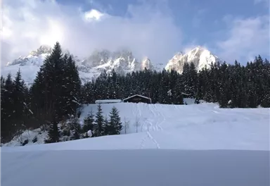 Going_Graspoint Niederalm_Wilder Kaiser