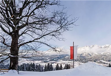 Going_Hollenauer Kreuz_Winterwanderweg_Wilder Kaiser