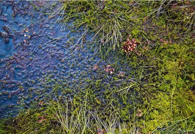 Going_Landschaft_Moorgebiet_Wilder Kaiser