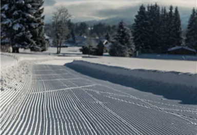 Going_Loipe_Skating_Wilder Kaiser