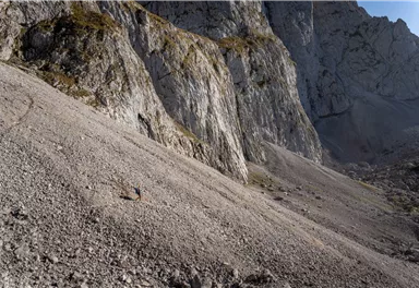 Going_Maukspitze_Niedersessel_Wilder Kaiser