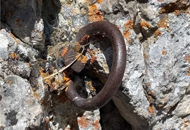 Going_Klettern_Maukspitze-Suedpfeiler_Sportler_2021_ClimbersParadise_MichaelMeisl (9).jpg