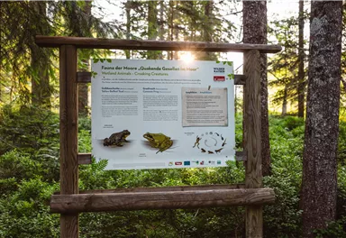 Going_Moor & More_Wilder Kaiser