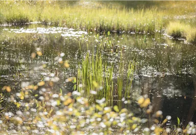 Going_Moor & More_Wilder Kaiser