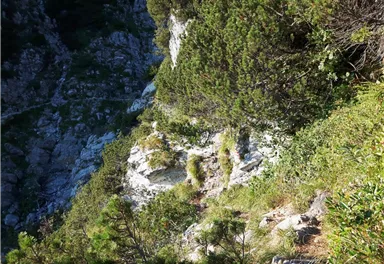 Going_Much-Wieser-Steig-Wilder Kaiser