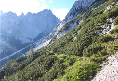 Going_Much-Wieser-Steig-Wilder Kaiser