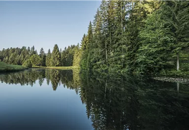 See Richtung Astberg_Wilder Kaiser_Peter von Felbert (1).jpg