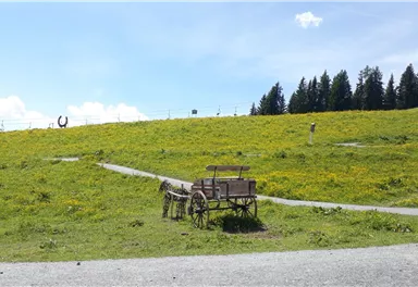 Going_PonyAlm_Astberg_Wilder Kaiser