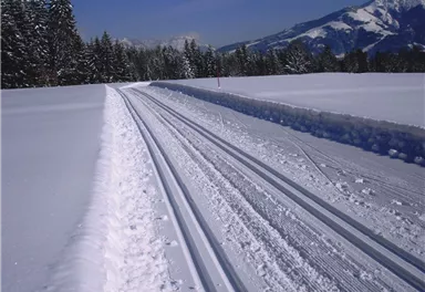 Going_Römerhof Winterrunde_Wilder Kaiser