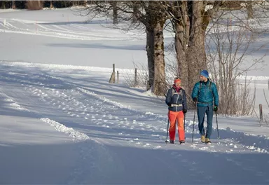 Going_Schwendter Sonnenplateau Winterrunde_Wilder Kaiser